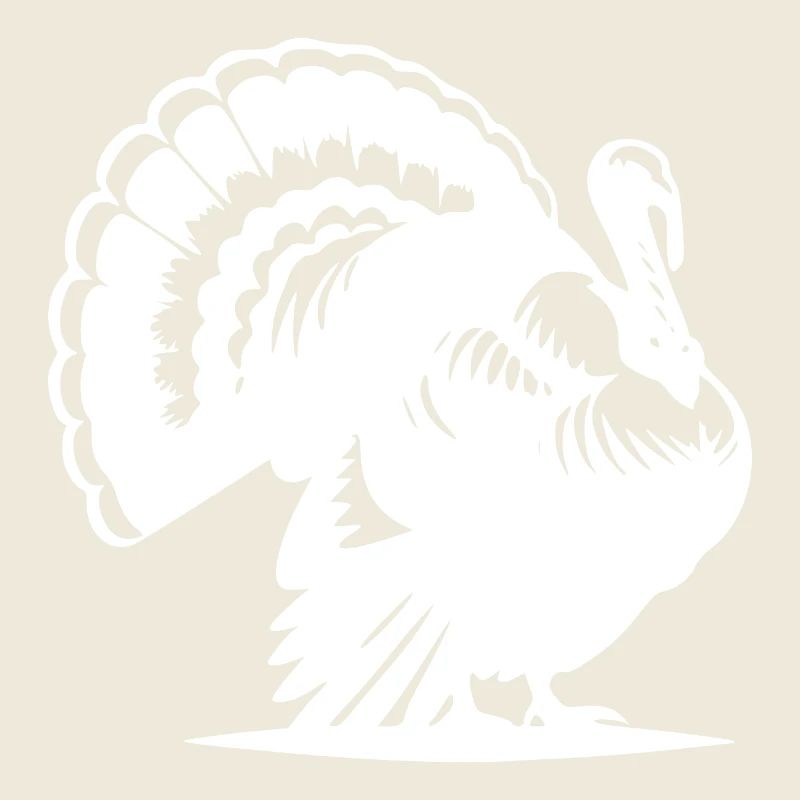 Fat turkey with feather plumage