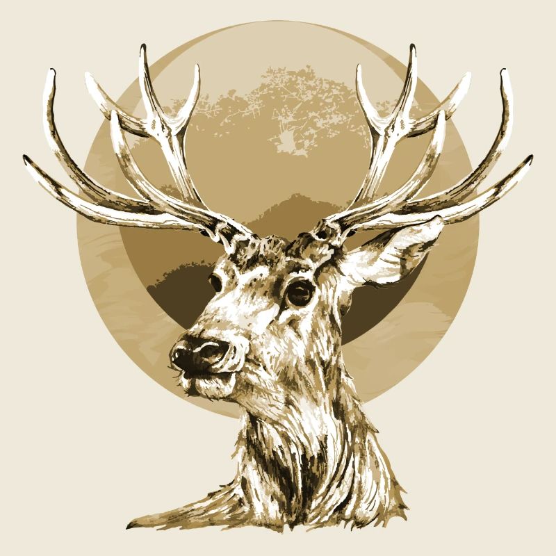 Hirsch
