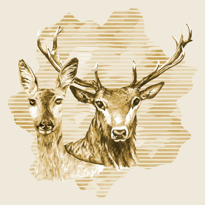 Cerf et biche