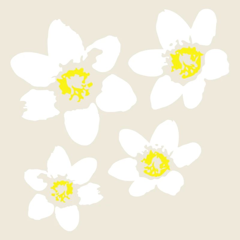 4 Marguerites Blanches Fleurs Printemps Été Fleurs
