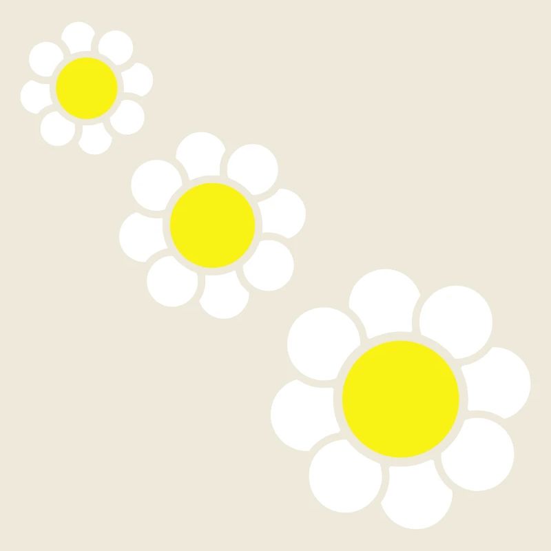 3 Weiße Margeriten Blumen Frühling Sommer Hübsch