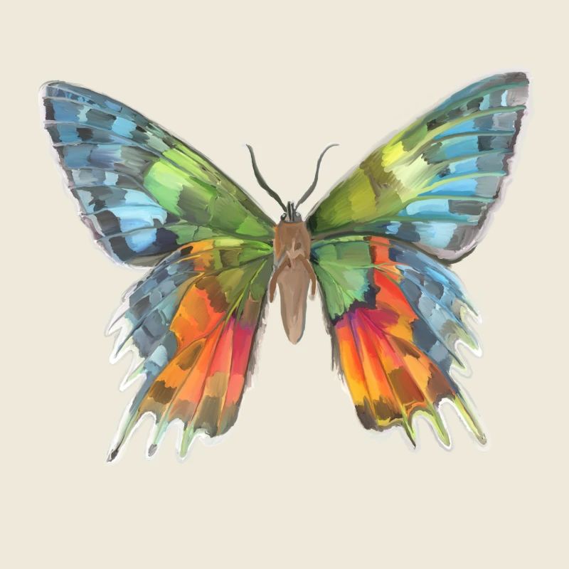 Papillon