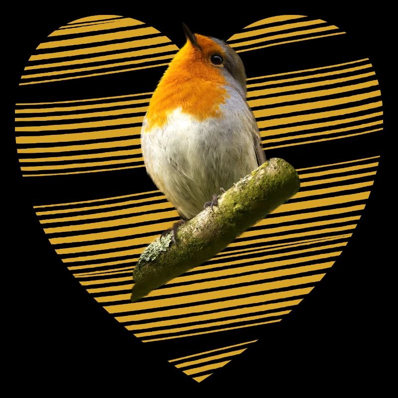 Rotkehlchen Singvogel süßer Vogel