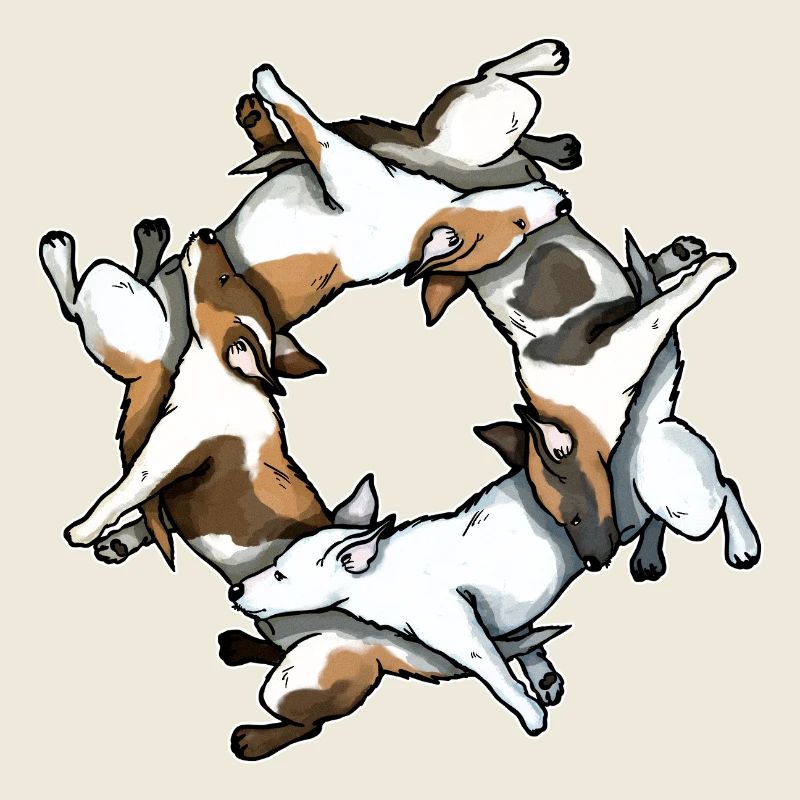 Jack Russell Circle