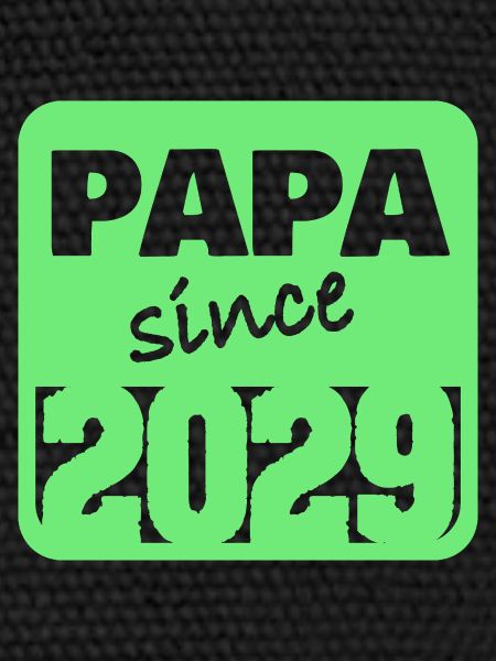 2029