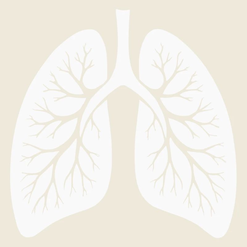 lung
