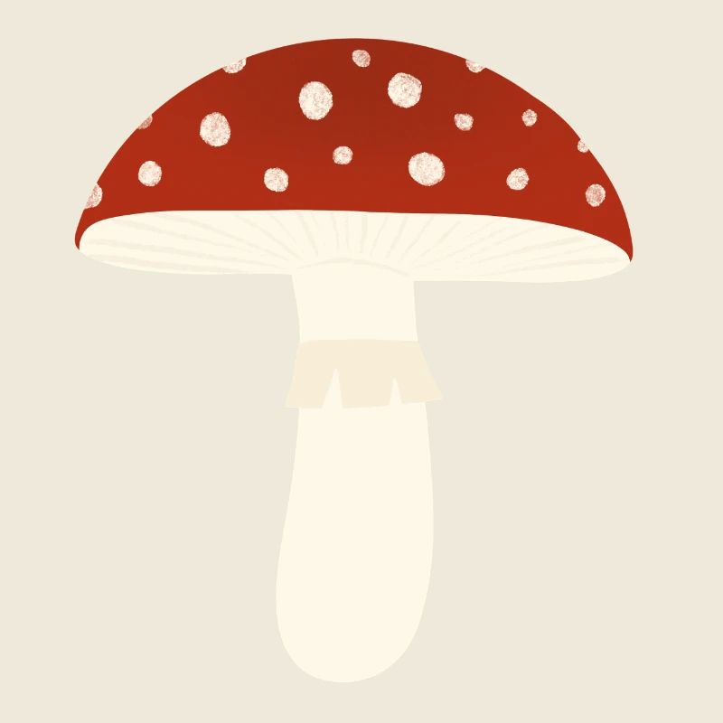 Champignon amanite tue-mouches
