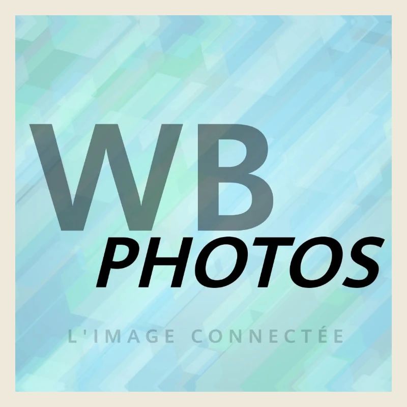 LIGHT BLUE WBP LOGO