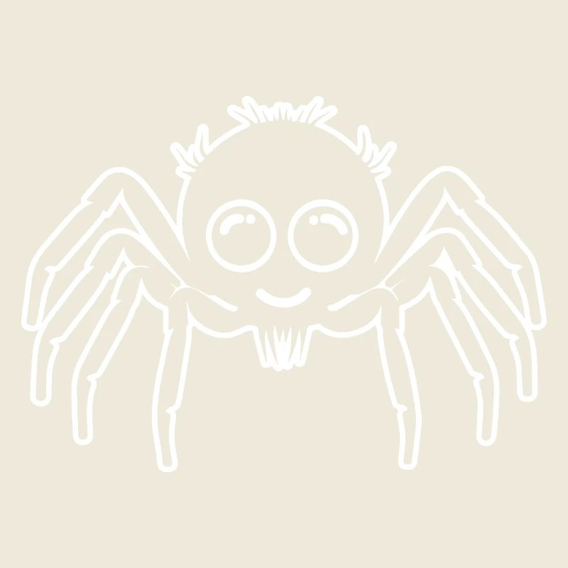 Spider spiders animals