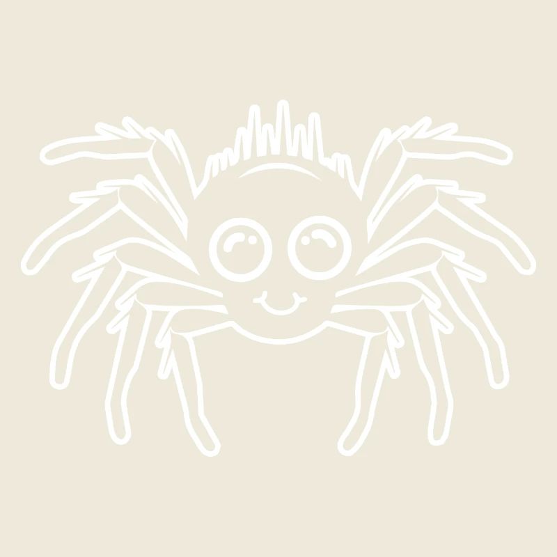 Spinne Spinnen Tiere