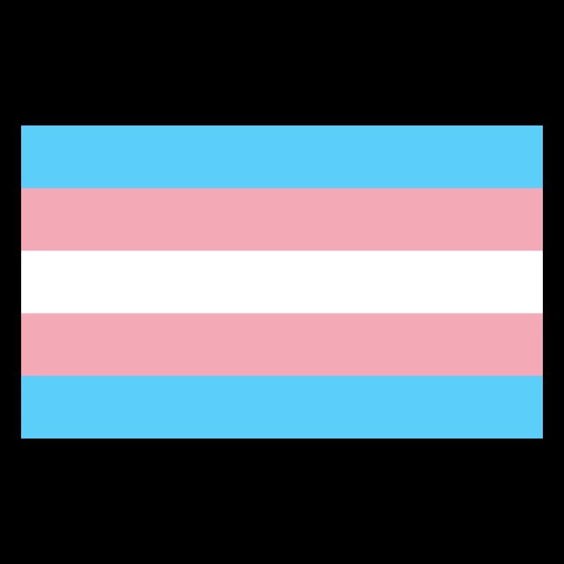 Trans-Flagge