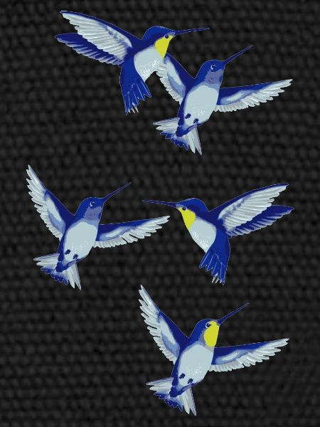 kolibri