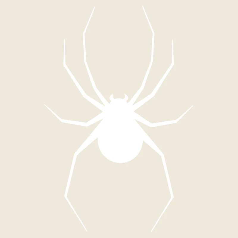 Spinne