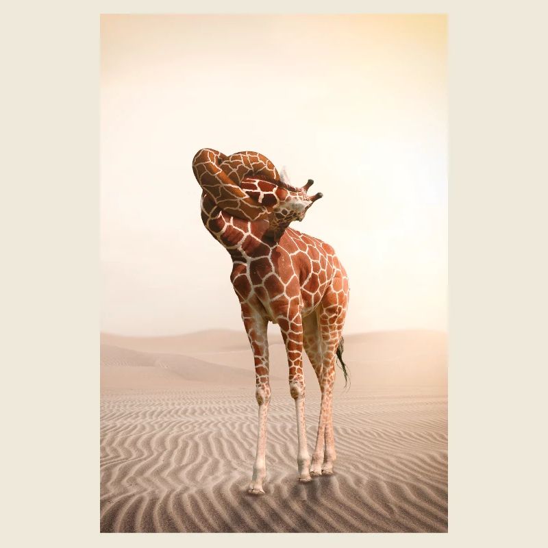 Giraffe mit einem Knoten im Hals