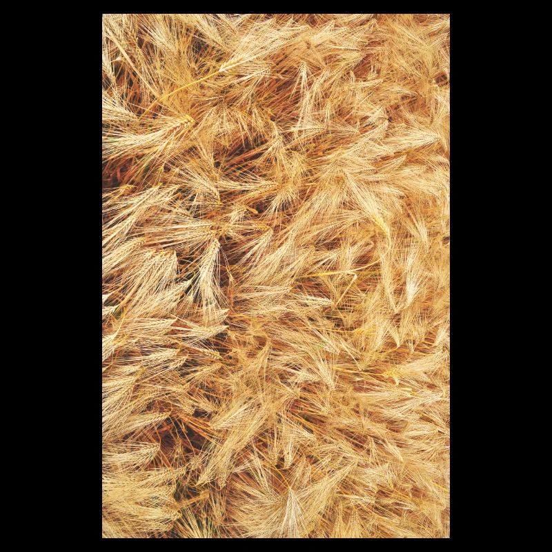 grain grain