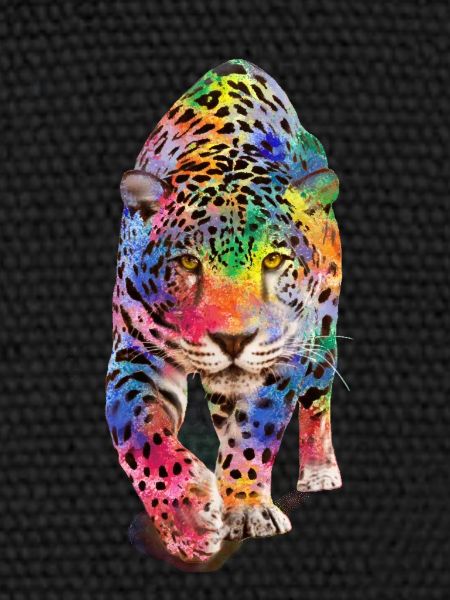 Multicolour leopard