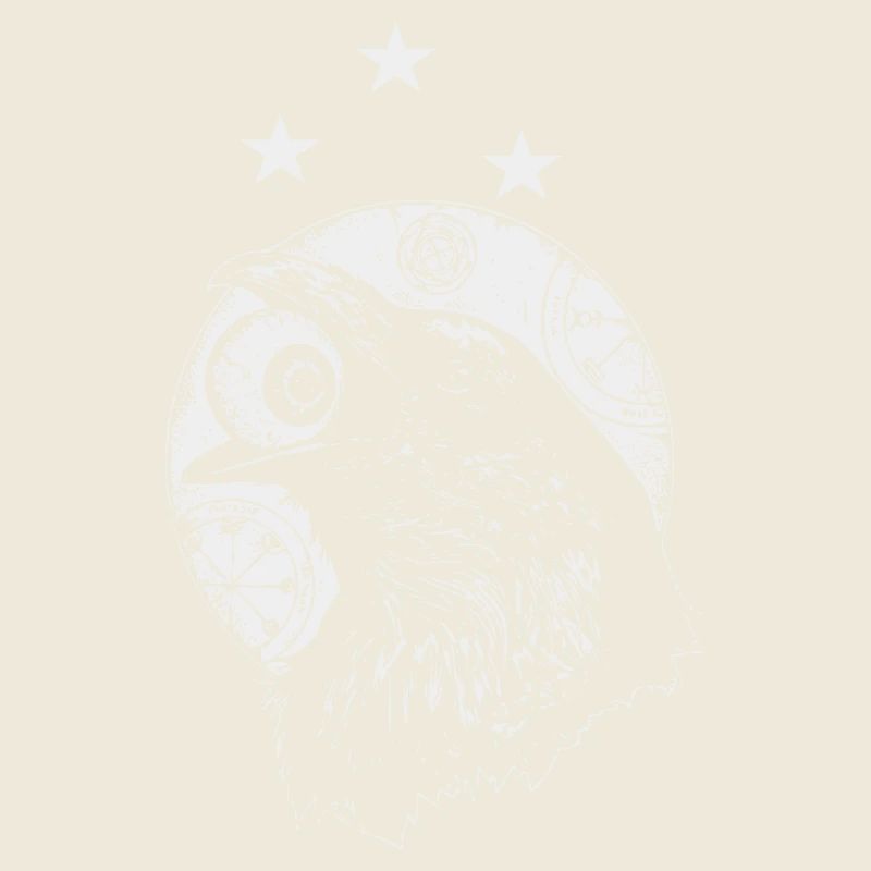 Corbeau noir