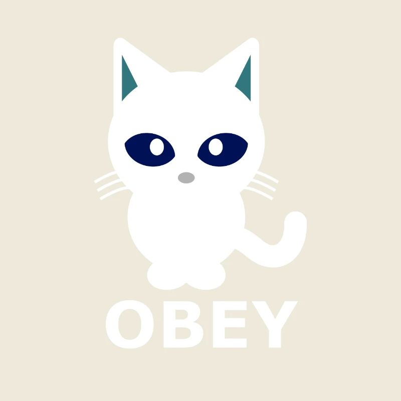 Katze Kätzchen gehorchen Spaß Obey Herrin