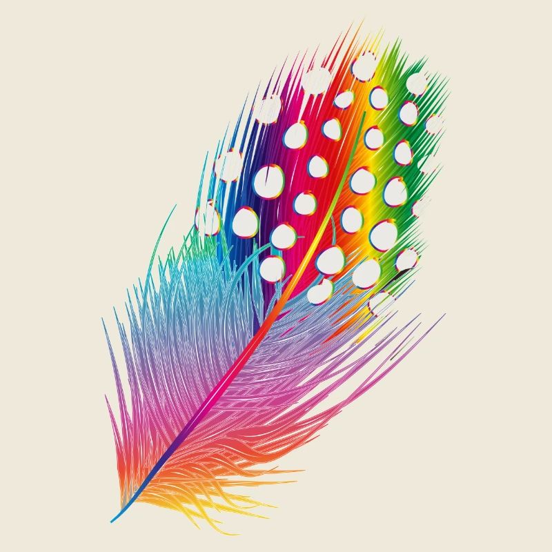 plume de pintade dessinée et colorée
