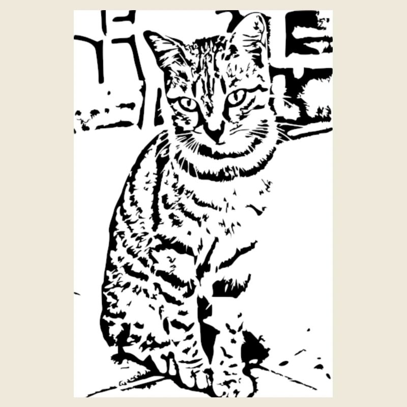Katze schwarzweiß Katzenshirt Geschenk 