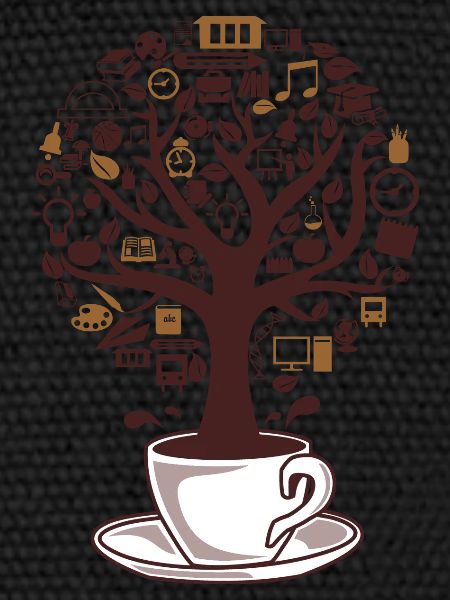 caféier