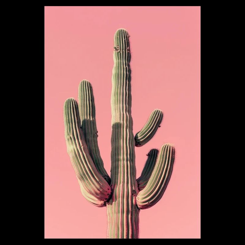 Large Cactus | AI