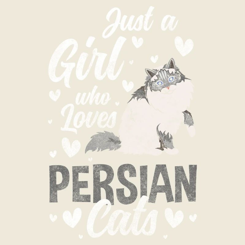 Chat Persan Amour Chat Amoureux Chat
