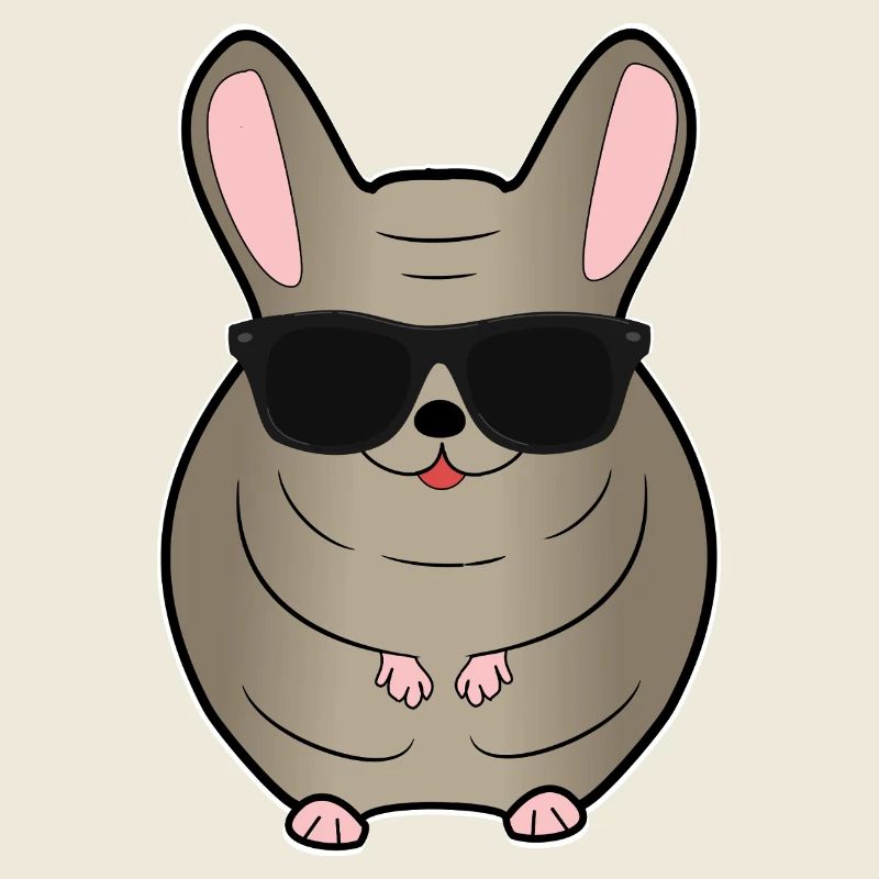 Chinchilla