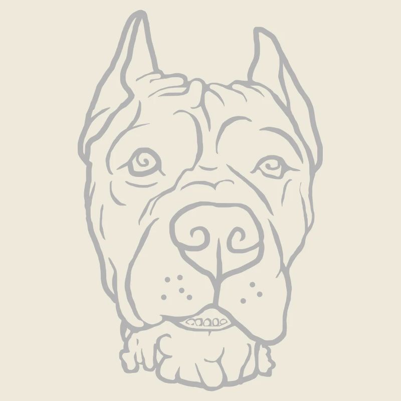 Cane Corso Head
