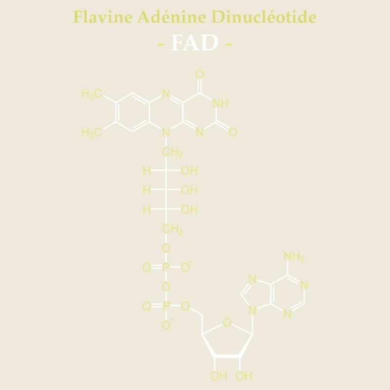 ADF Flavin-Adenin-Cofaktor