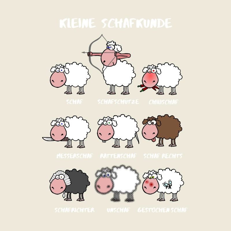 Un peu de connaissances moutons