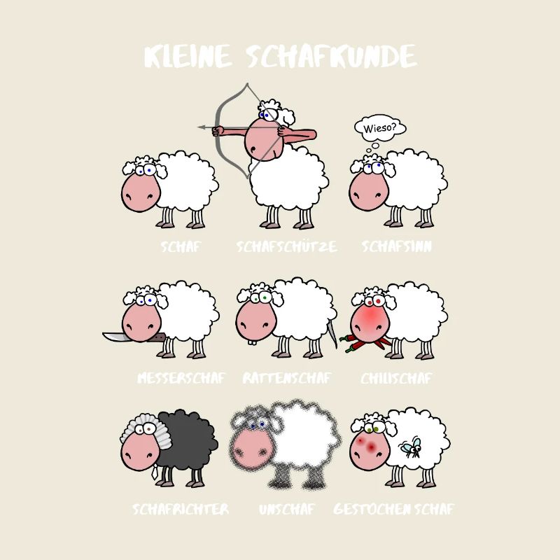 A little sheep knowledge