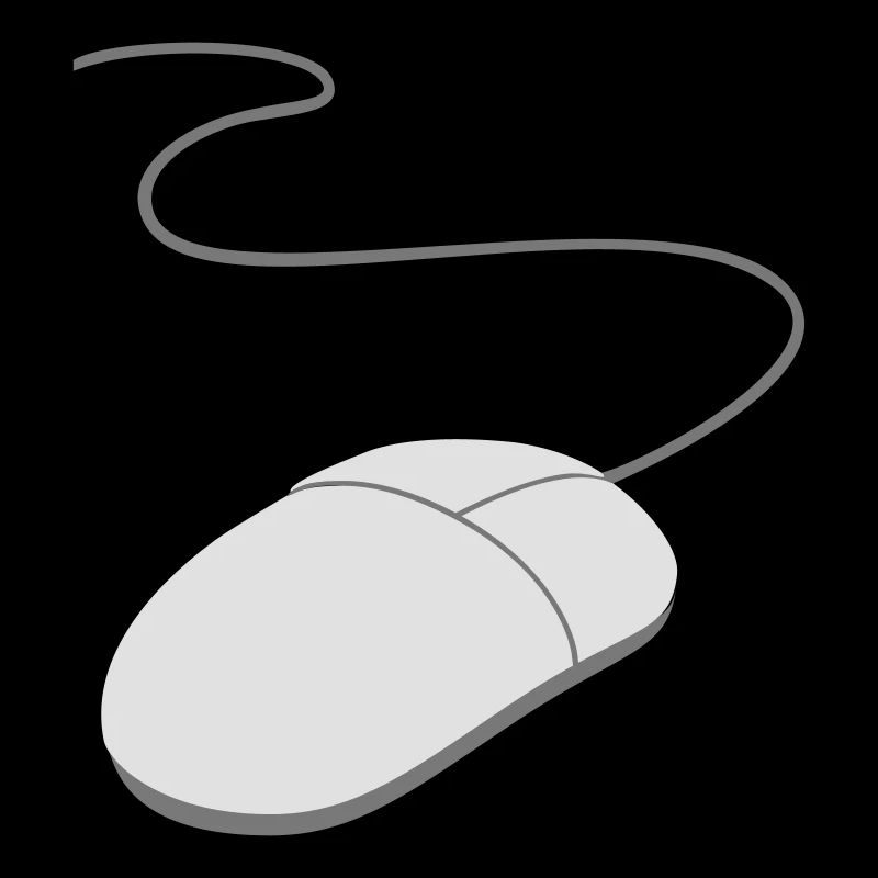 computer mouse