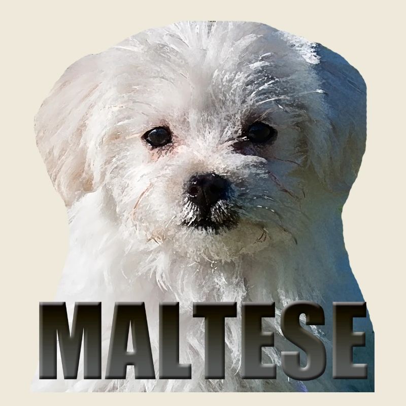 Maltesisch