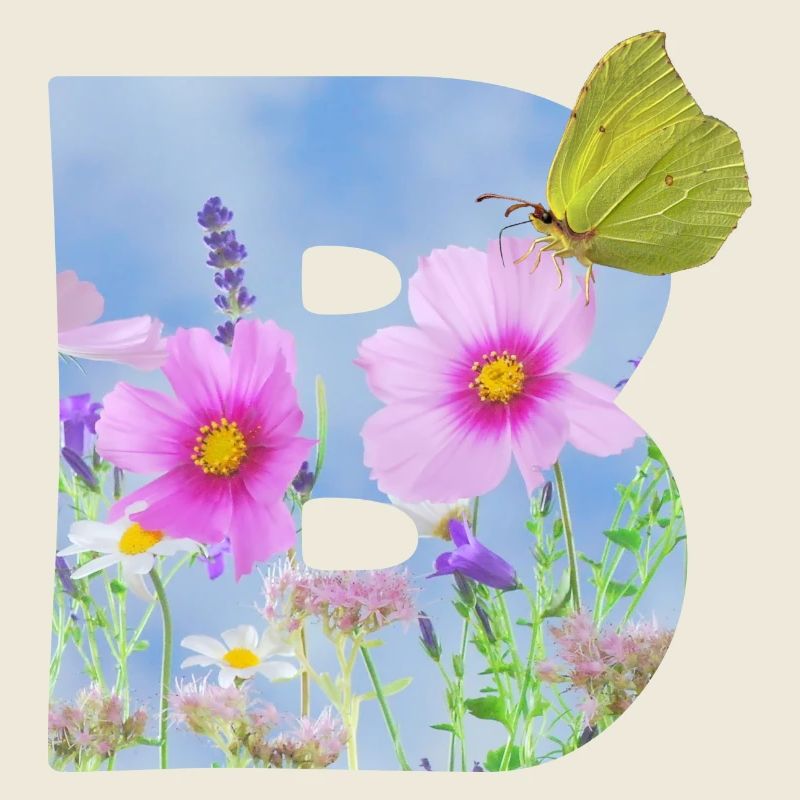 fleurs de printemps papillon b