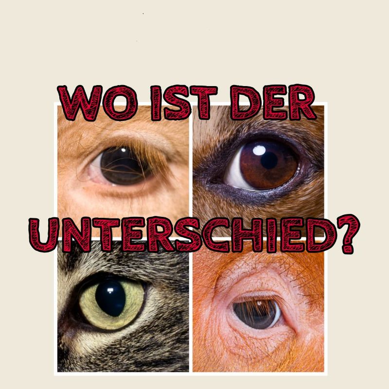 Wo ist der Unterschied?