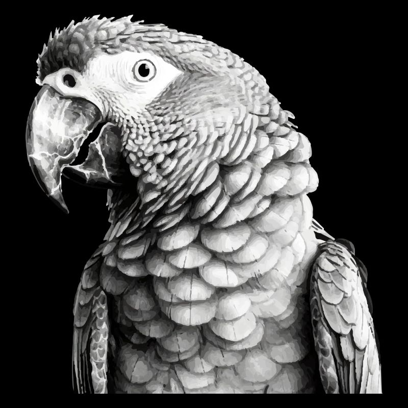 Papagei mit Bleistift