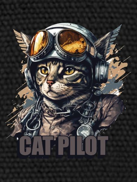 Pilote de chat