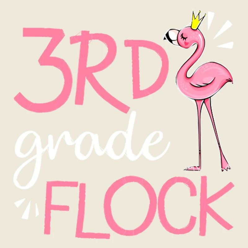 Flamingo Back To School 3rd Third Grade Flock