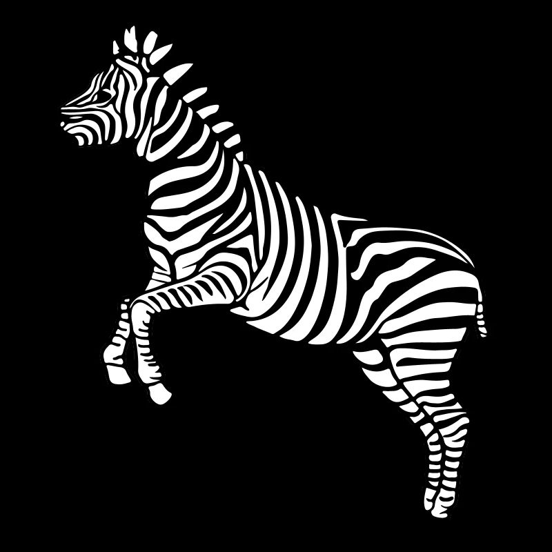 zebra Botswana Zèbre des plaines