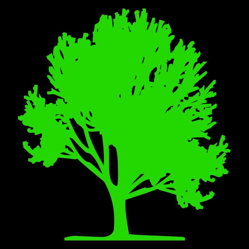 arbre