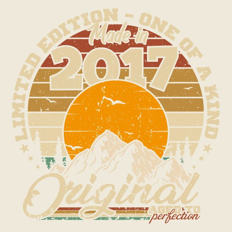 Made in 2017 Cadeau anniversaire 2017 Rétro 2017