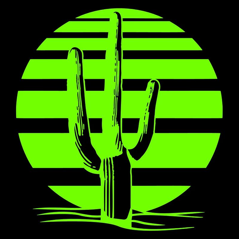 Cactus Desert Sunset Evening Night Cacti