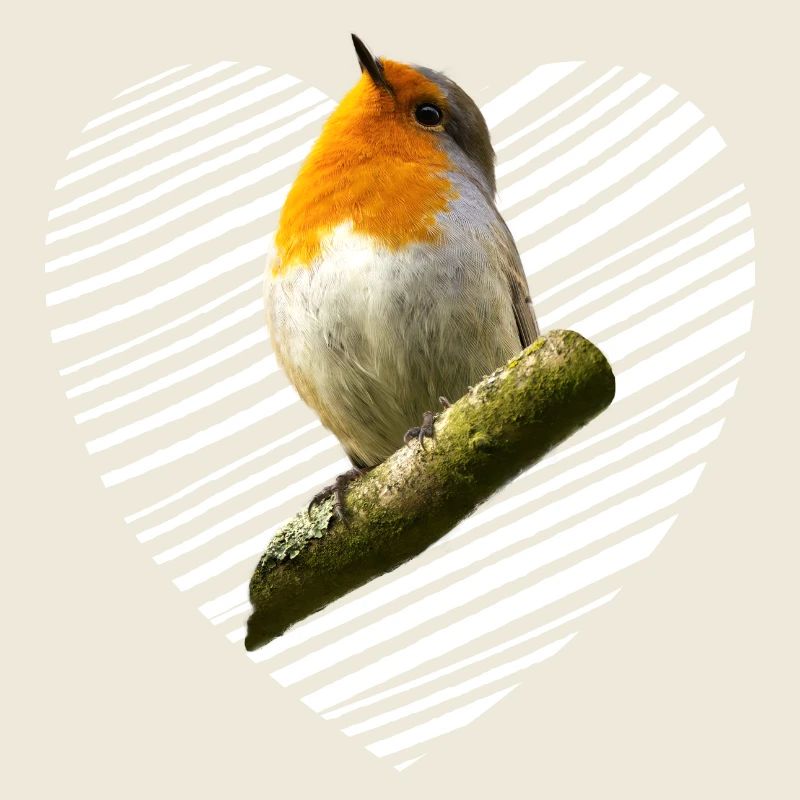 Robin Songbird