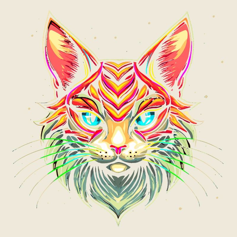Maine Coon Cat