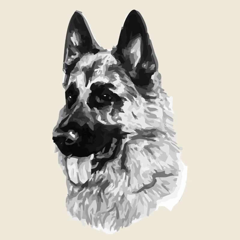 Schäferhund