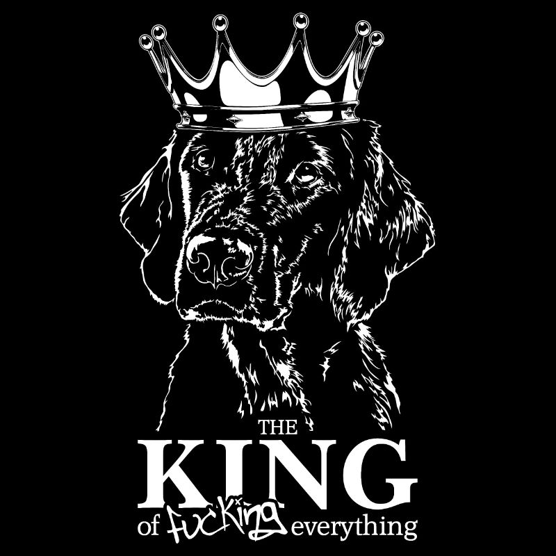 Flat Coated Retriever King of everything Spruch