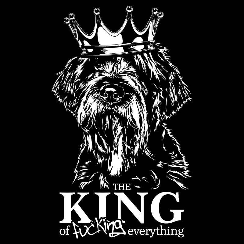 Korthals Griffon King of everything Hunde Jagdhund