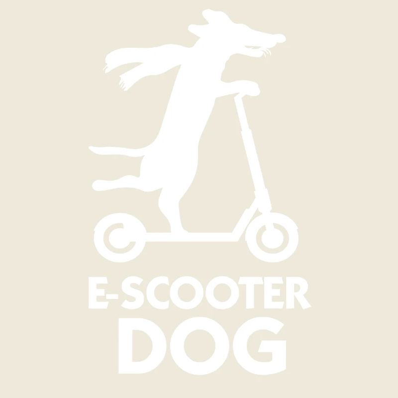 E-Scooter Roller Scooter