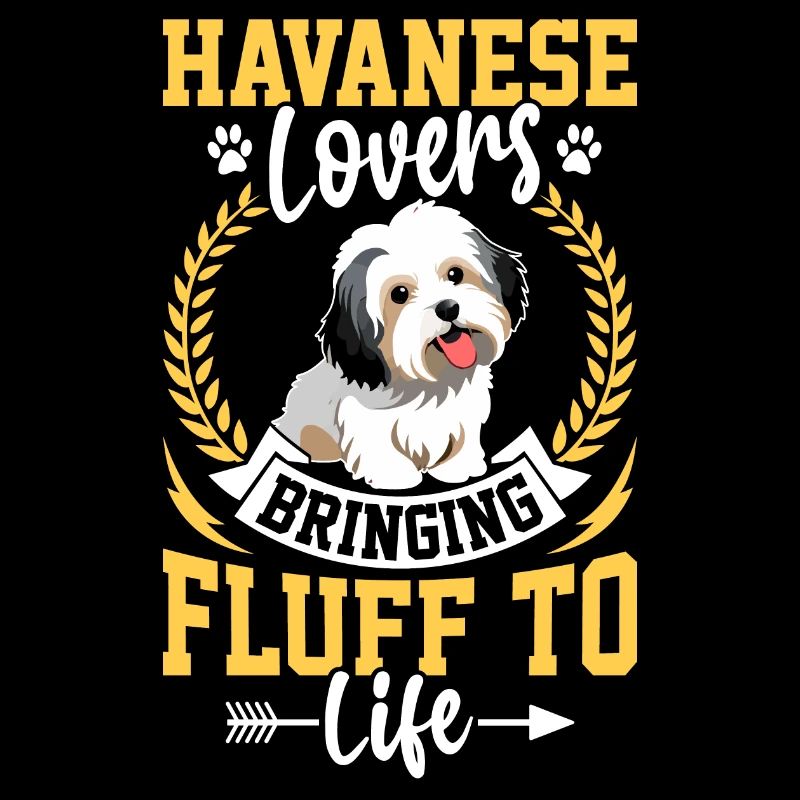 Havanese Lovers bring fluff to life
